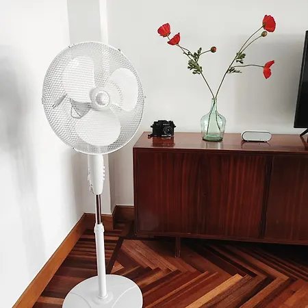 Spacious Confortable Next And Pintxos Area San Sebastian